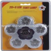 Flower shape tent lamp images