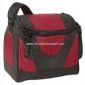 insulated lunch cooler small picture