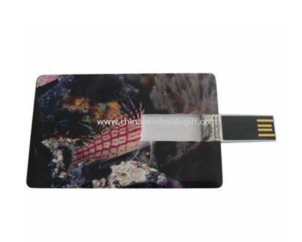 Full color logo USB Credit Card Drive