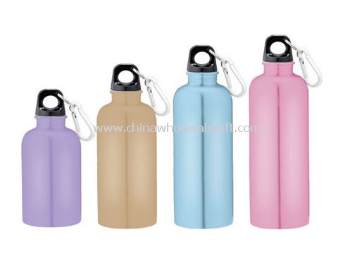 Carabiner Narrow-Mouth Sports Bottle