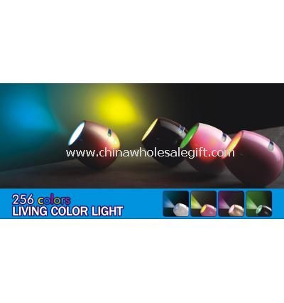256 colors living color light