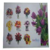 PP table mat images