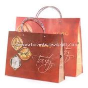 Fashion PP Bags images