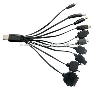 10 in 1 cable