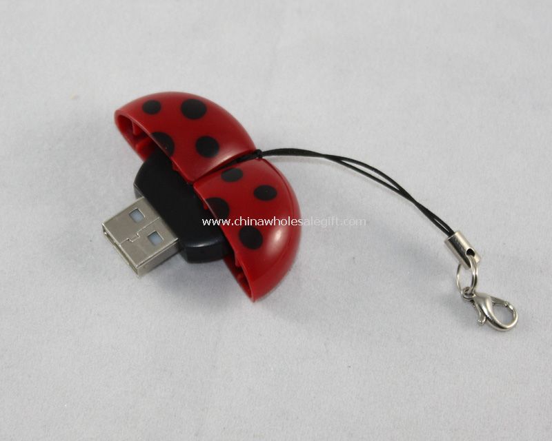 Bettle shape card reader