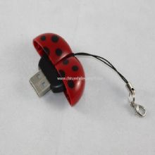 Bettle shape card reader images