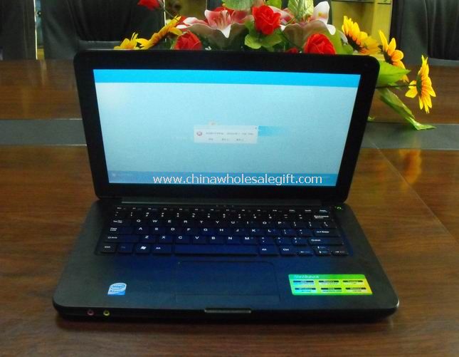 14 inch Laptop with DVD