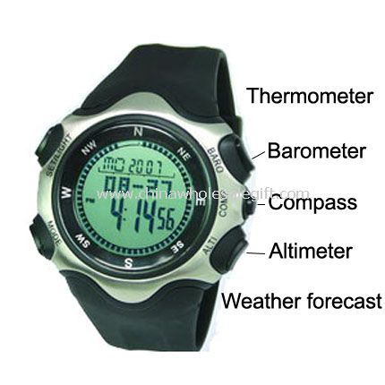 Multifunctional thermometer watch