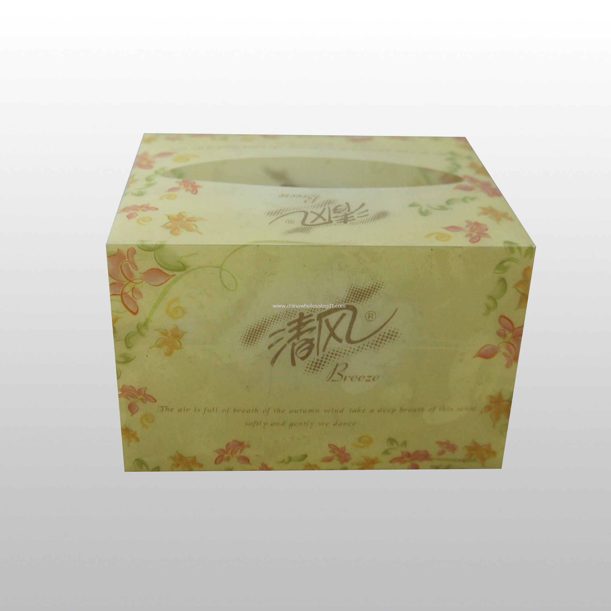 Polierte Platte PP Tissue-box