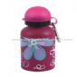 Carabiner sports thermos bottle small picture
