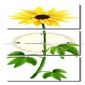 Flower painting Home decoration wall clock small picture