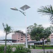 Solar Street Light 60W images