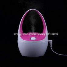 Flower Basket Mini Humidifier images