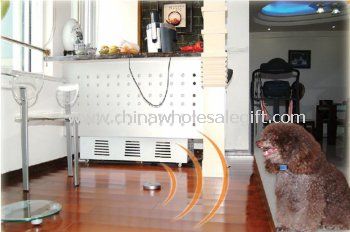 Wireless indoor dog FENCE system with electric shock collar
