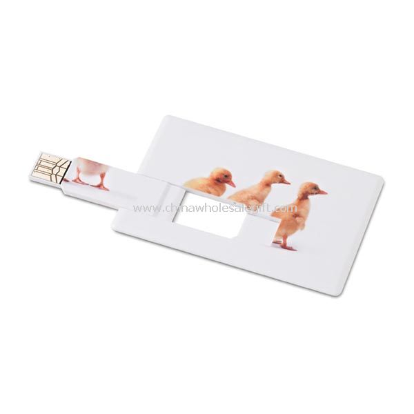 Plastikowa karta USB błysk przejażdżka
