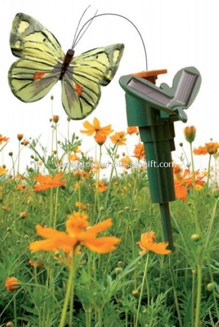 Fliegende Solar-Schmetterling