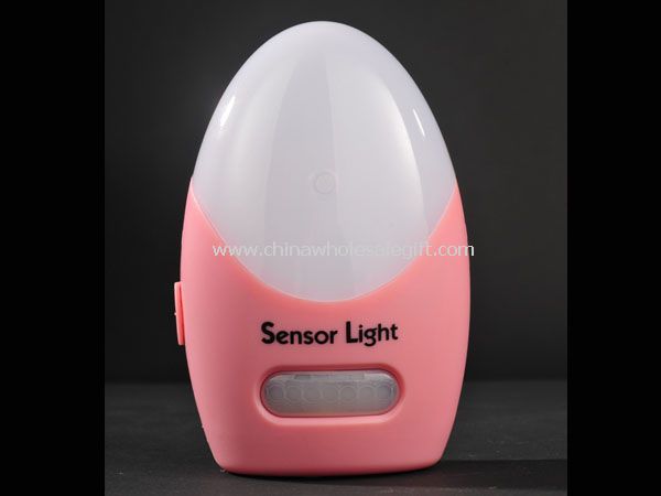 Automatiocally activated infrared sensor light