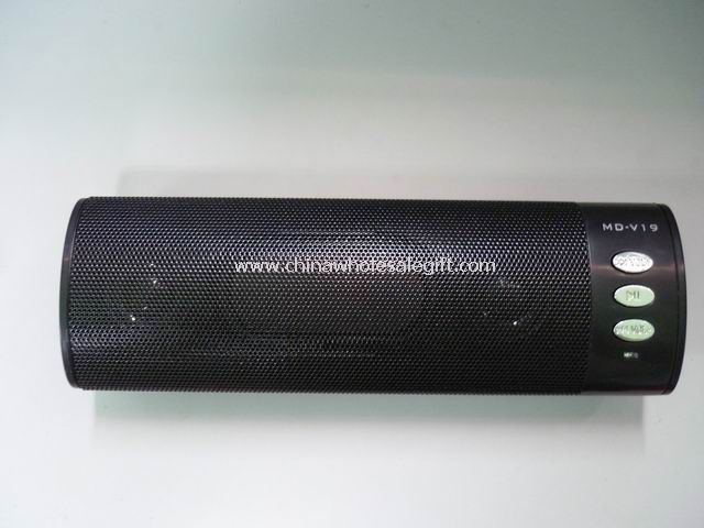 Portable speaker with SD/MMC/USB/LINE/MP3/MP4