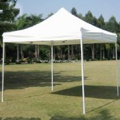 White Promotional tent images