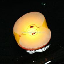 Apple Floating Light images