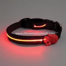 lighted pet collar images