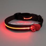 lighted pet collar images