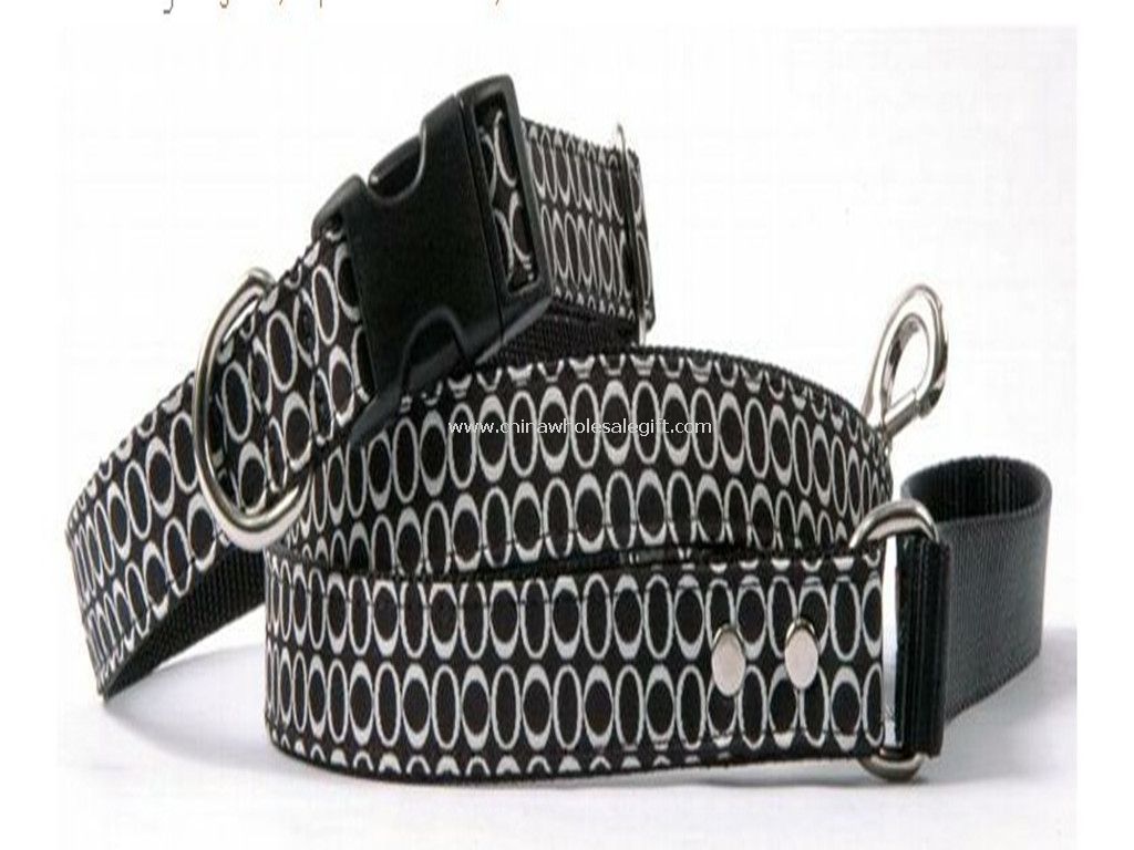 nylon dog collars