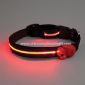 lighted pet collar small picture