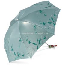 Vikbar paraply med blomma images