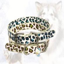 Pet collar images