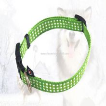 Collier d&#39;animal familier images