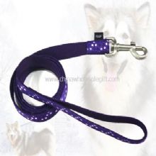 Pet leash images