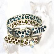 Collier d&#39;animal familier images