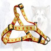 Dog Triangle harness images