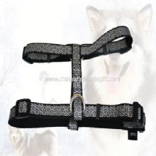 Pet harness images