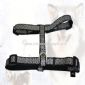 Pet harness small picture