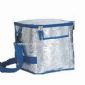 Oxford 600D Cooler Bag small picture