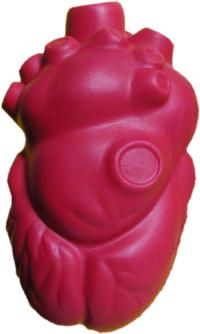 Anatomical Heart stress ball