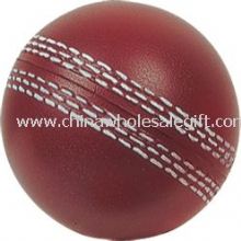 Balle anti-stress de cricket images
