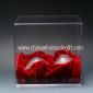 Acrylic Box Display small picture