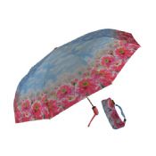 3 guarda-chuva de dobramento images