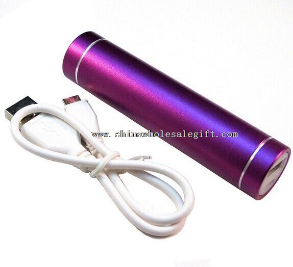 Hottest popular battery charger