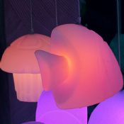 LED balık tavan lambası images