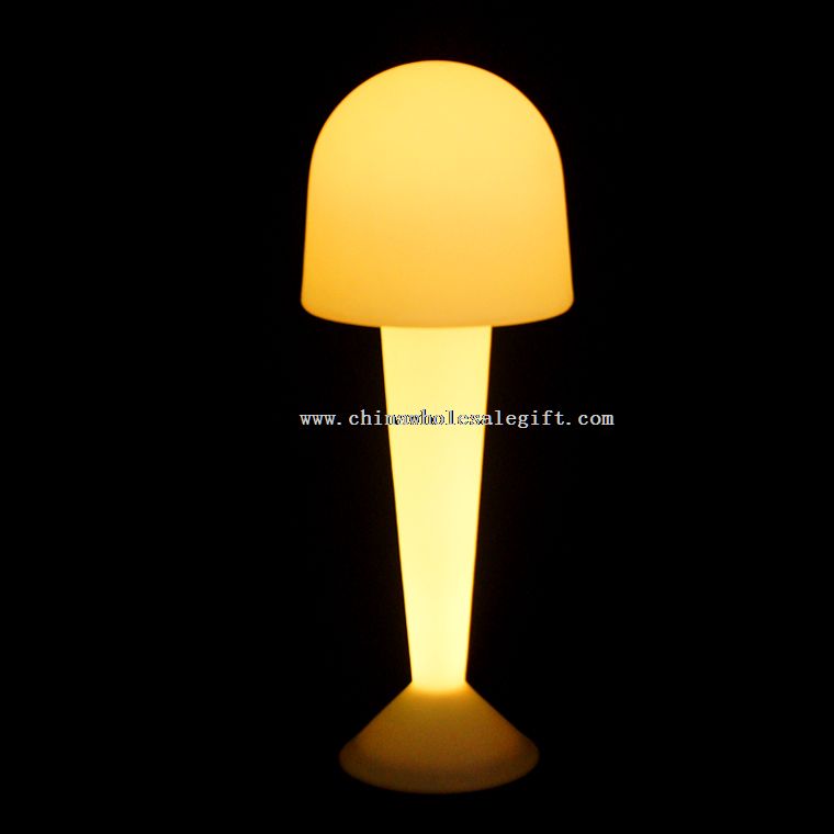 PE Floor Lamp