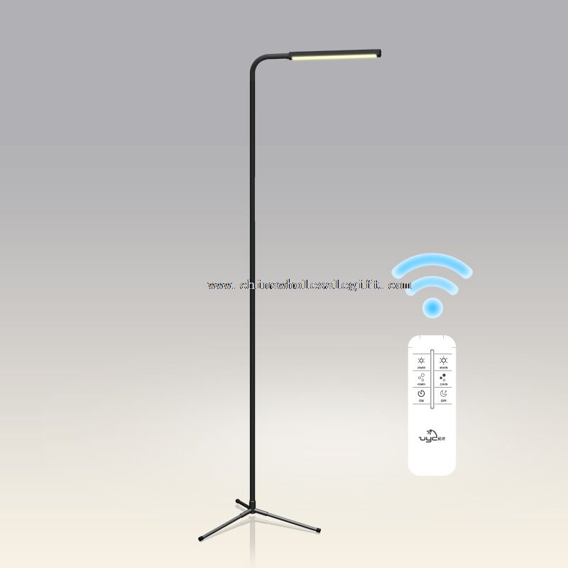 Wireless Remote Control Floor Lamp Led