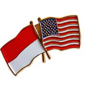 USA Flagge Pins images