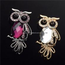 owl brooch for decoration images